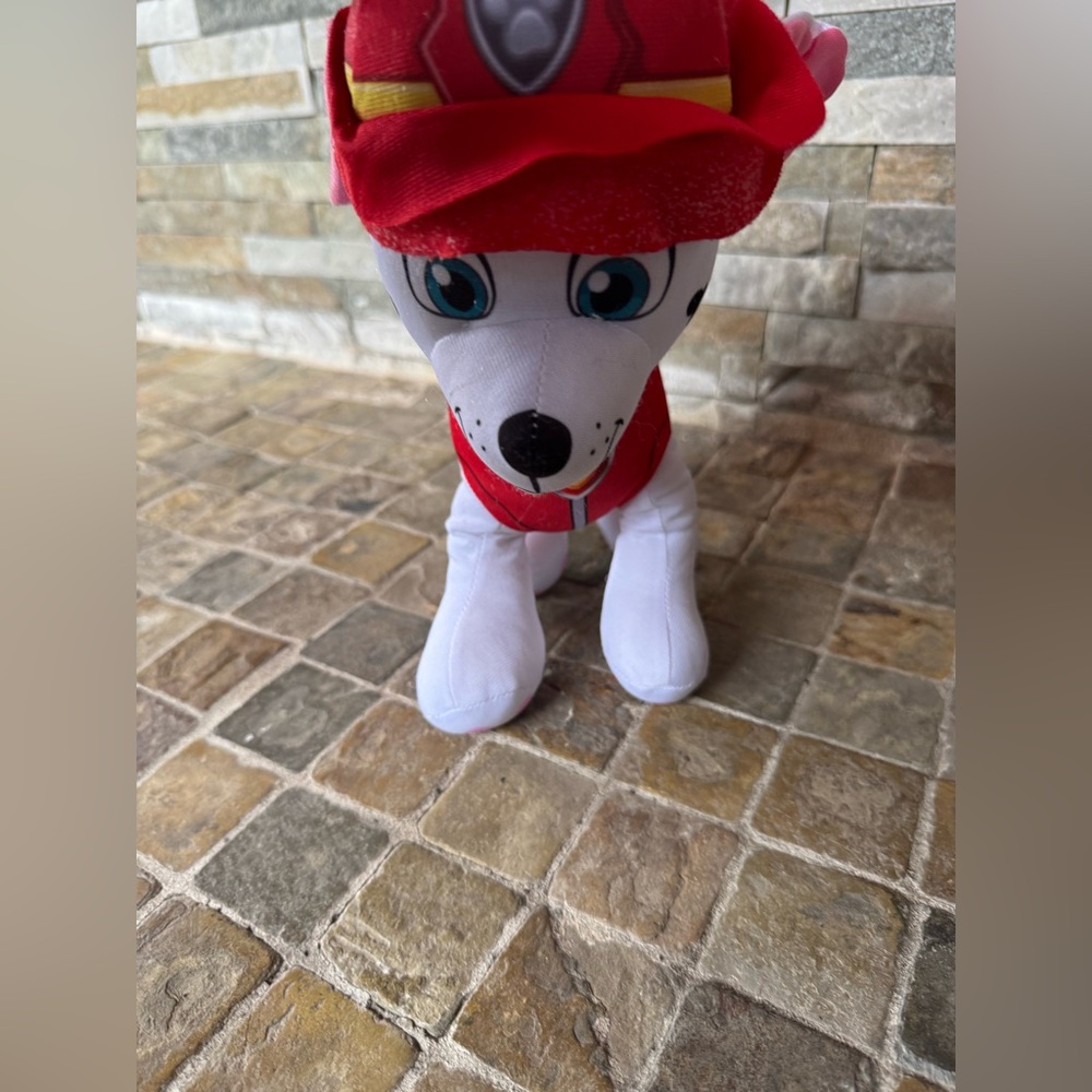 Paw patrol 12 in Marshall